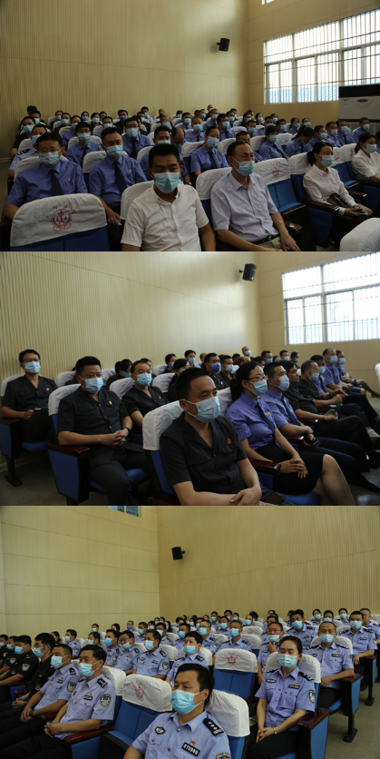 无为法院公开宣判两起包庇纵容黑社会性质组织等罪案