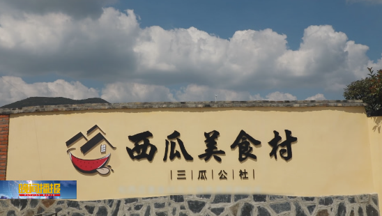 三瓜公社