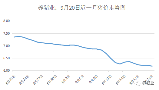 9月20日全國最新豬價穩中伴跌雙節也帶不動豬價