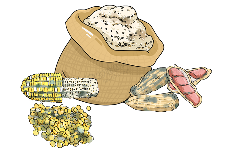 中国5大高发癌症,都与这几种食物有关