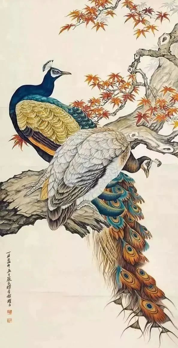 五大名家画孔雀,美极了!