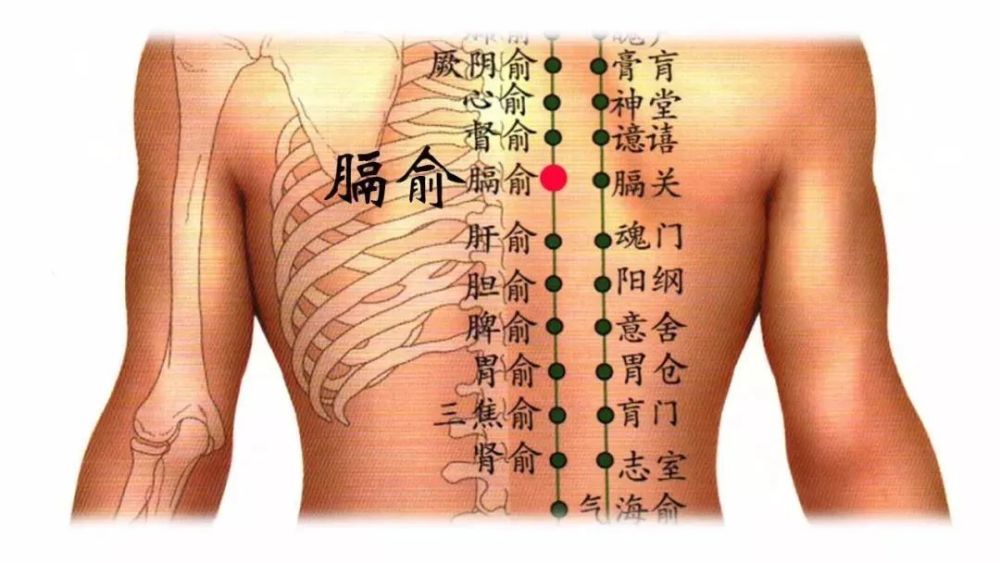 【穴位图】膈俞穴,理气宽胸,活血通脉