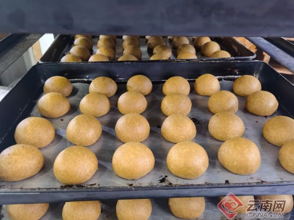 因为她在家排行老三,大家便叫她"三妹",她十六岁进入元阳县国营东方红