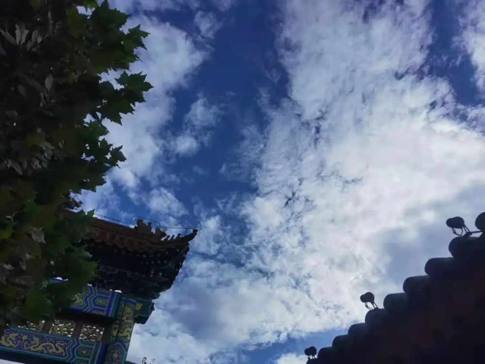 北京雨后蓝天白云“充值”成功！北京这7个公园今日游客过万给中国捐款的欧美