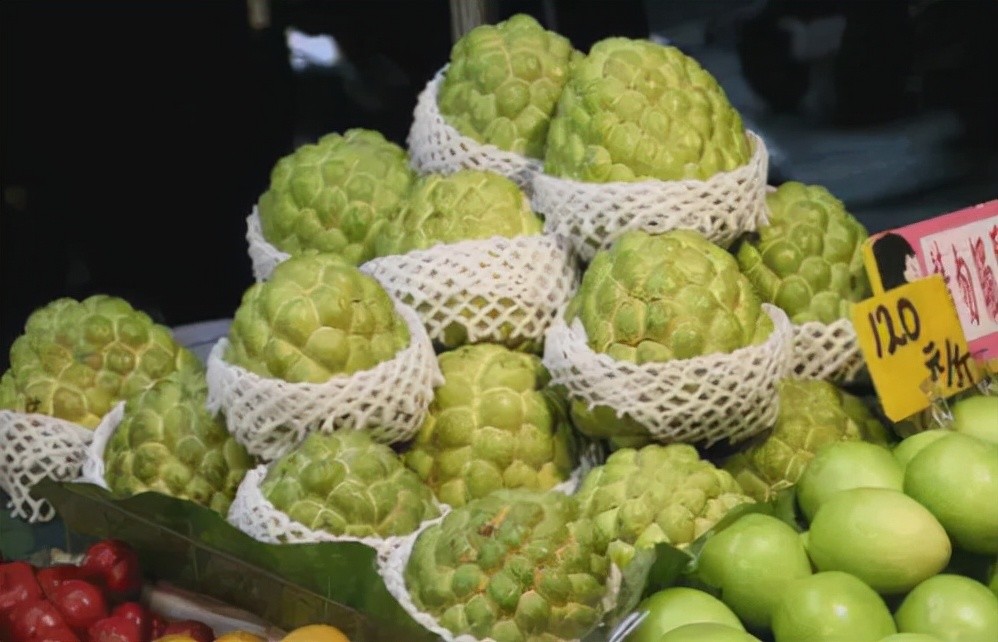 大陆禁止台湾释迦莲雾输入,消息引发岛内震动,台当局急得抓狂