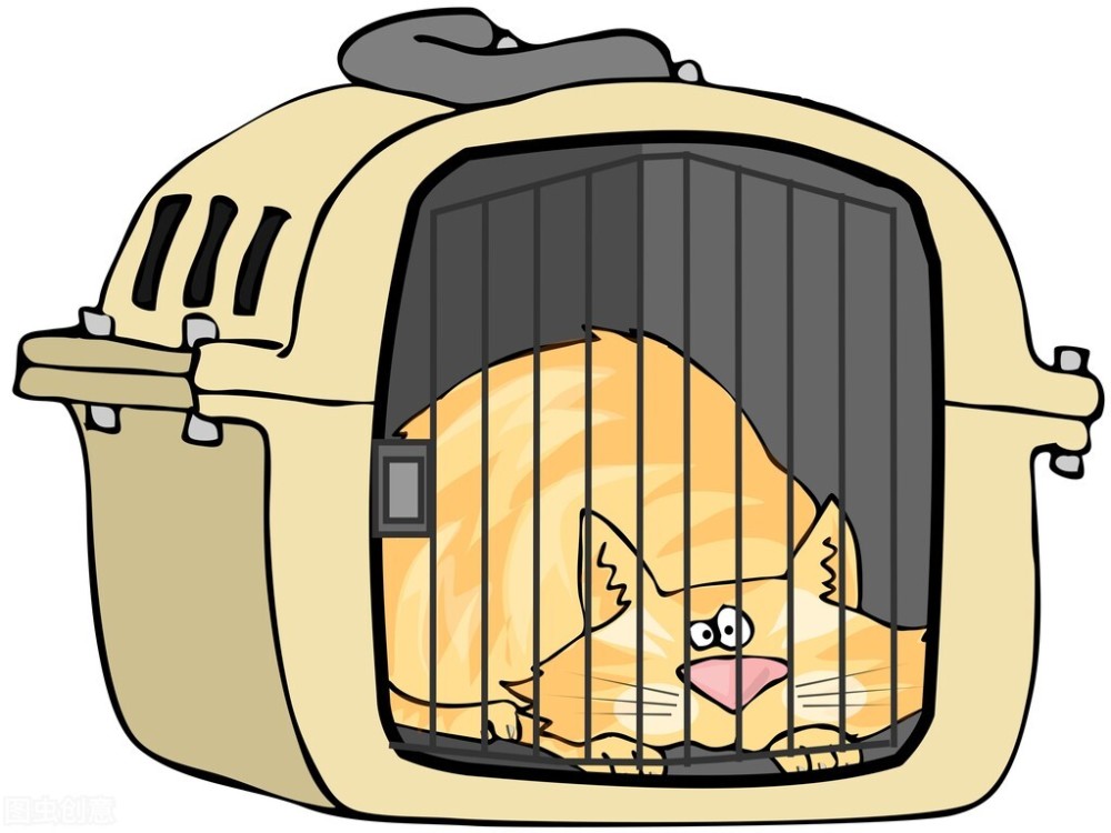 被关进笼子的猫通过这个实验,桑代克认为猫是在进行尝试错误的学习,也