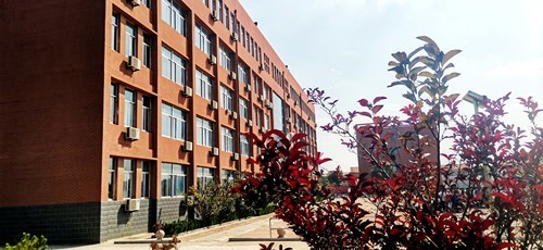 无棣县车王镇中学家校联手抓"五项管理"助力学生健康成长