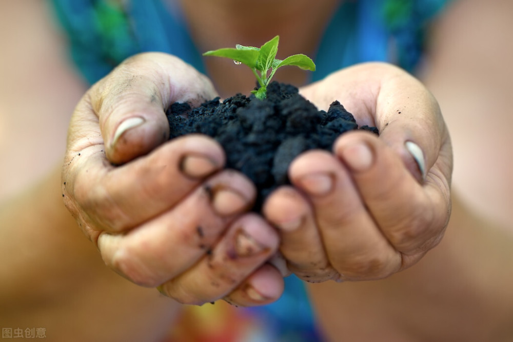 13万年前就已经灭绝的生物竟然重生了难道生命真的有轮回