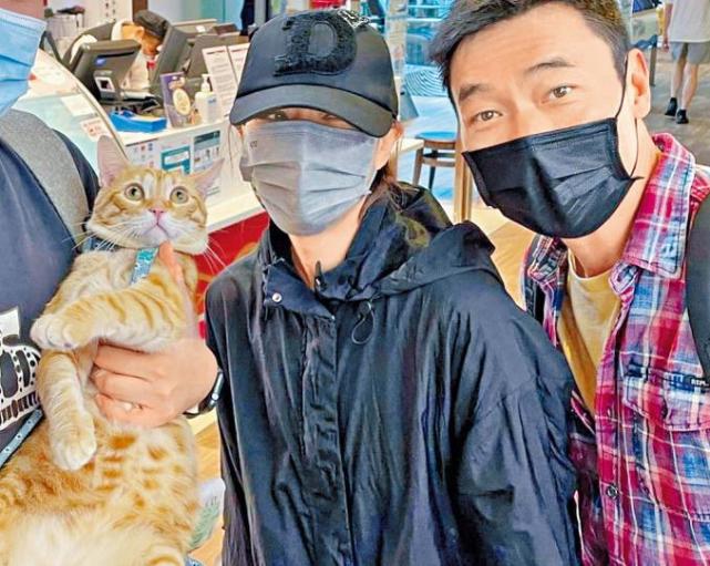 郑秀文许志安罕见同框放闪二人约会逗猫被偶遇贴身合影默契足