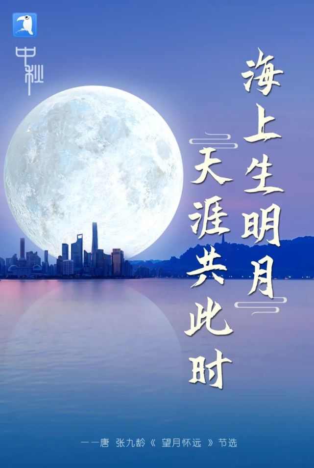 啄木鸟海报海上生明月天涯共此时