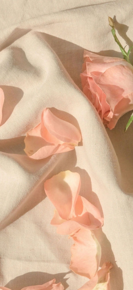 ins 白底壁纸丨是 答案_腾讯新闻