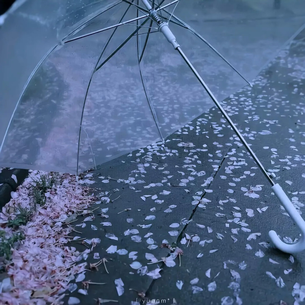 高级感qq封面背景图