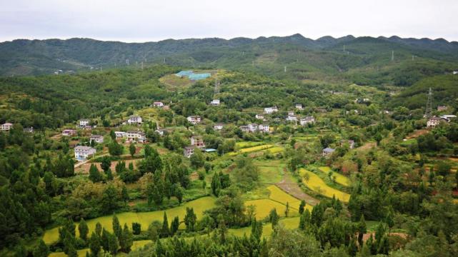 我在村头过中秋｜四川广元黄垭村驻村第一书记陈杰：立足农旅融合 实现乡村大发展_腾讯新闻