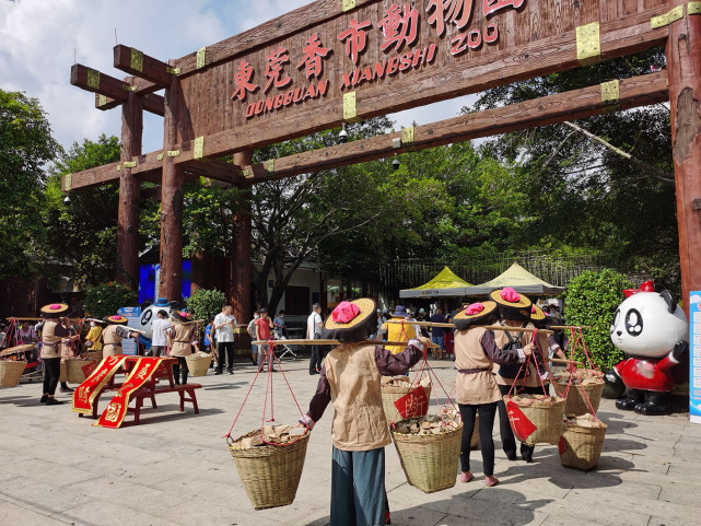 中秋佳节东莞香市动物园莞味儿浓