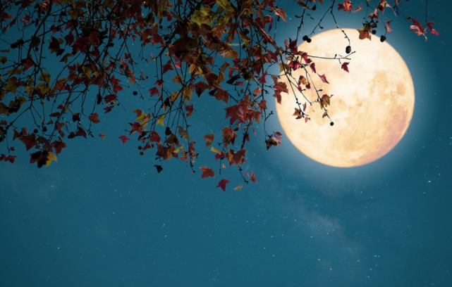 中秋时节‖人间一轮月