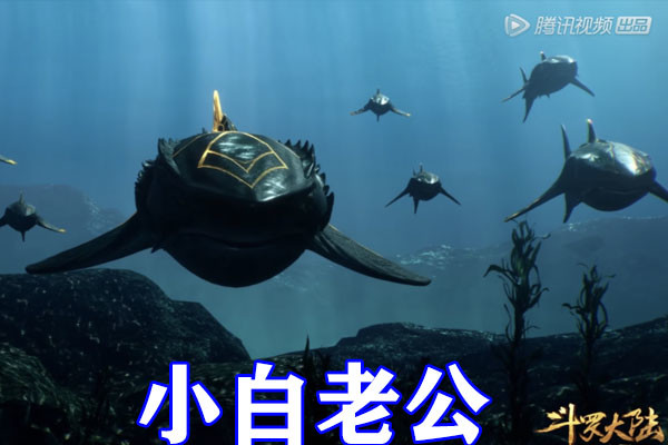深海大白鲨斗罗大陆图片