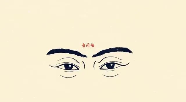 通过眉毛来看一个人的性格事业运势10种眉毛10种看法对照自己属哪种