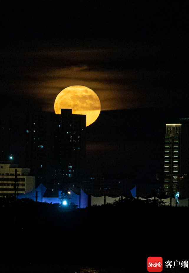 原创组图天涯共此时十五的月亮十五圆