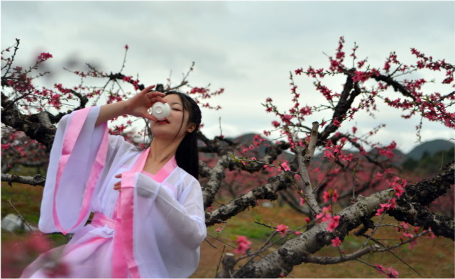 最经典的18首饮酒诗词,载酒江南,一醉人间