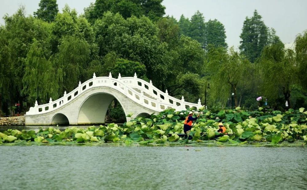 乾嘉安庆文人寓扬州,李葂(啸村)名最先著,其后有姚惜抱,邓石如,高朗亭