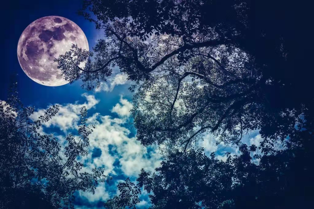 都是十五的月亮十五圆而且从今年开始将连续三年的中秋节2021年中秋