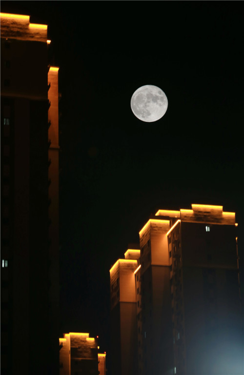 "皎洁一年惟此夜",来吧,跟着滨州摄影大咖,行走月色中,赏滨州最美月亮