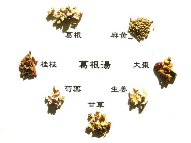 小青龍湯:麻黃,芍藥,細辛,乾薑,炙甘草,桂枝,五味子,半