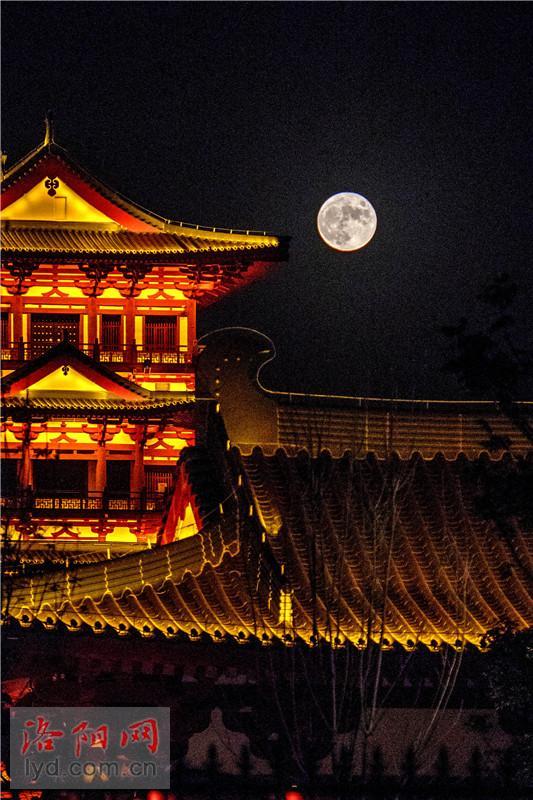 十五的月亮十五圆组图