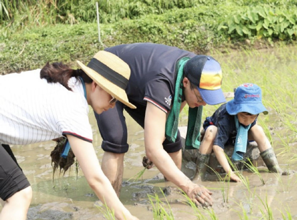 娃哈哈盯上90后的娃，宗慶后再推童裝業務，抖音月內銷量僅54件即使我臭名昭著圖2022已更新(新華網/嗶哩嗶哩)馬步野作文素材百度云