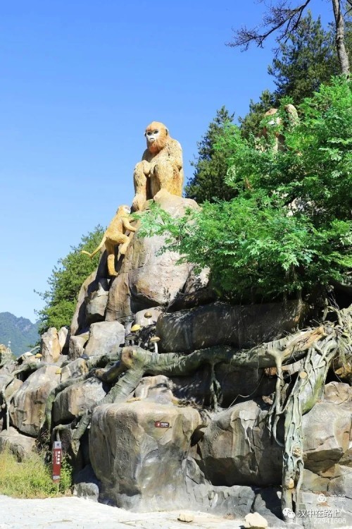 汉中南湖动物园图片