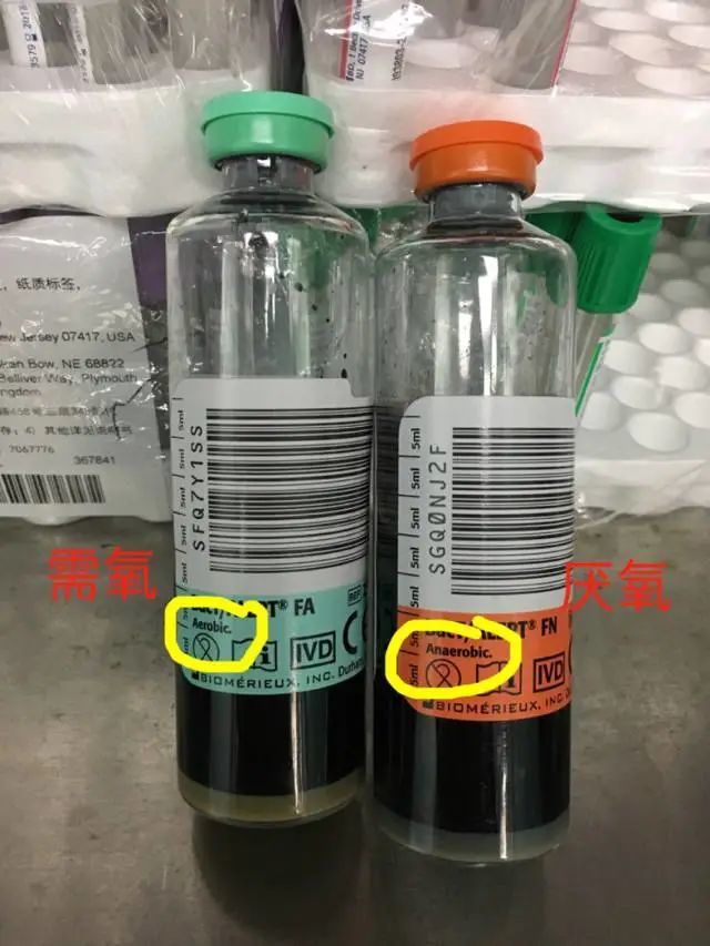 关于血培养你应该了解的知识点