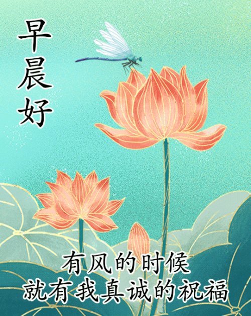 朋友圈清晨日常早安动态祝福图片最好看的早上好美图