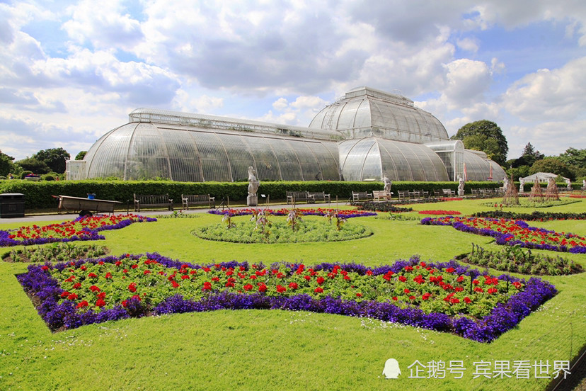 伦敦邱园收藏植物物种近17万创世界纪录