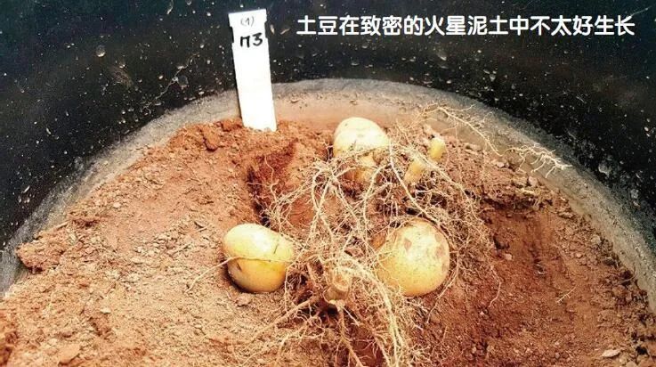 怎样在火星上搞种植 全网搜