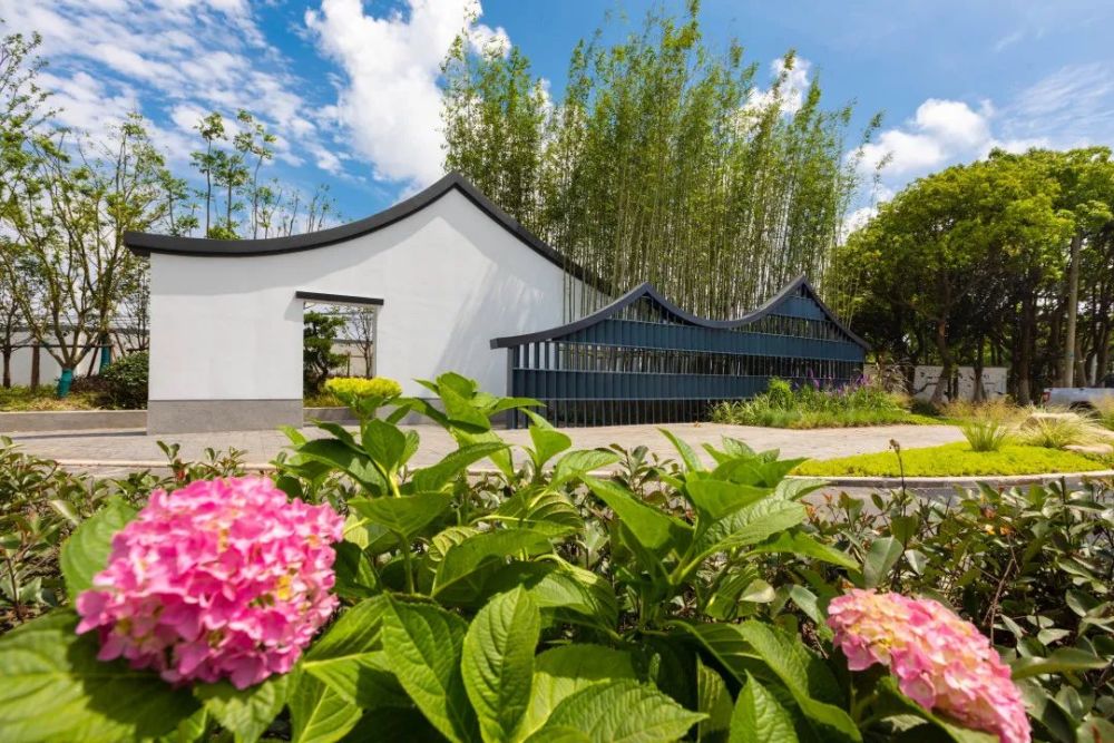 南汇新闻来惠南镇海沈村祝桥镇星火村与美丽乡村来一场约会