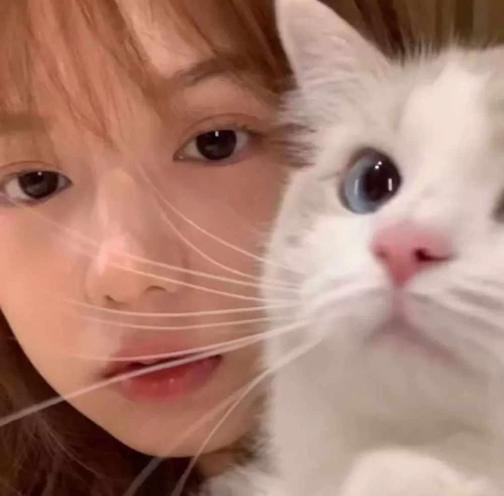 头像抱猫女头