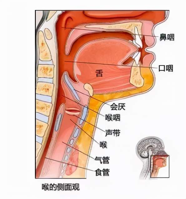 未來醫生咳咳咳就是感冒嗎不要把寶寶放在危險的邊緣試探