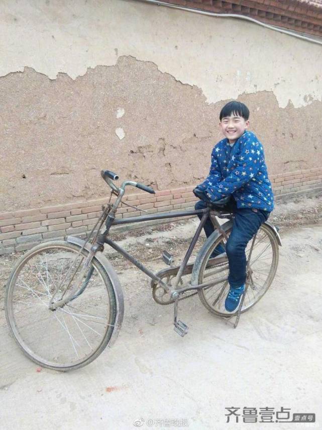 青未了辛云霞父亲的大金鹿