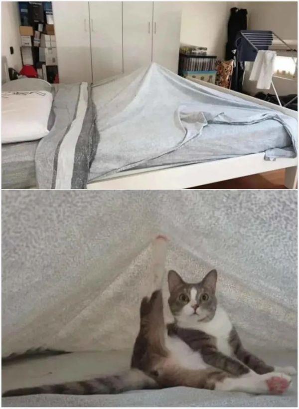 神回复:好失望啊买了20个皮皮虾的口罩16个没有腿