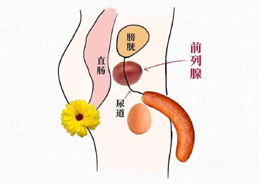 尿頻尿急都怪腎不好6類高危人群必查前列腺有你嗎