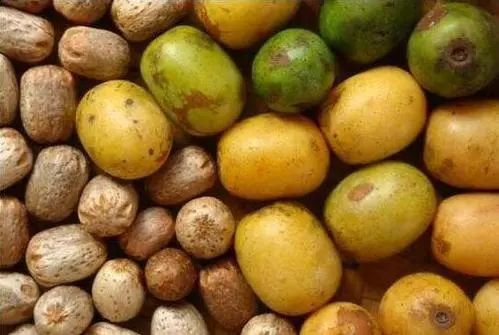 广枣行气活血养心安神