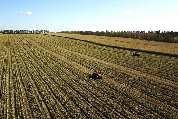 龙江大地丰收时盘点黑龙江农业农村发展成就