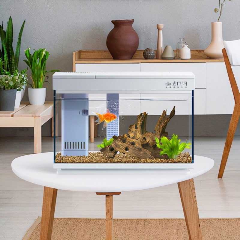 最新养鱼神器,ai智能模块化鱼缸,用黑科技养鱼