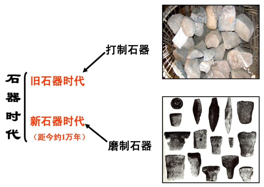 原始社会后期人类社会由旧石器时代晚期发展到新石器时代,社会生产力