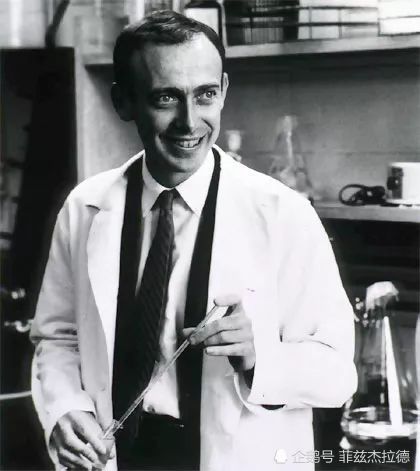 dna模型克里克沃森