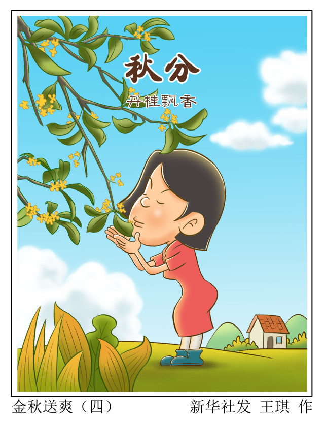 图表漫画二十四节气秋分金秋送爽四