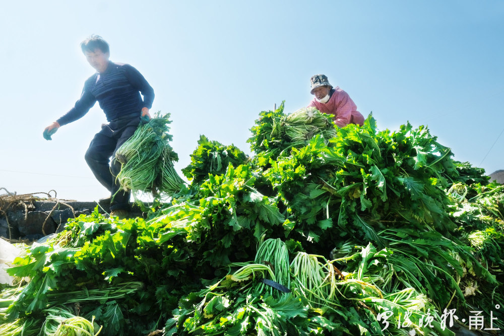秋风过处五谷香致敬默默耕耘的农民朋友