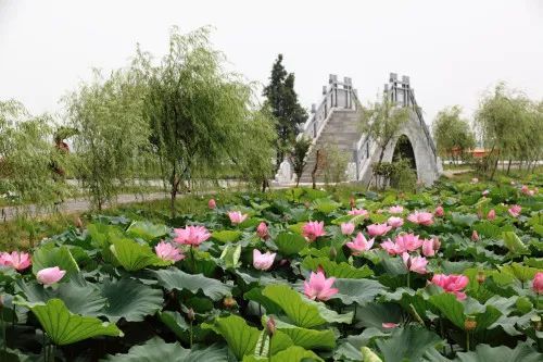 湘阴这趟大巴发现复阳密接者湖南唯一岳阳这个地方在全国出圈了