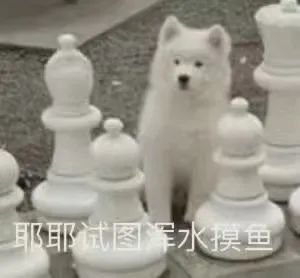 耶耶试图浑水摸鱼表情包目瞪狗呆表情包精选优质热门表情包