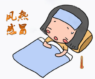 风热感冒与防风通圣散